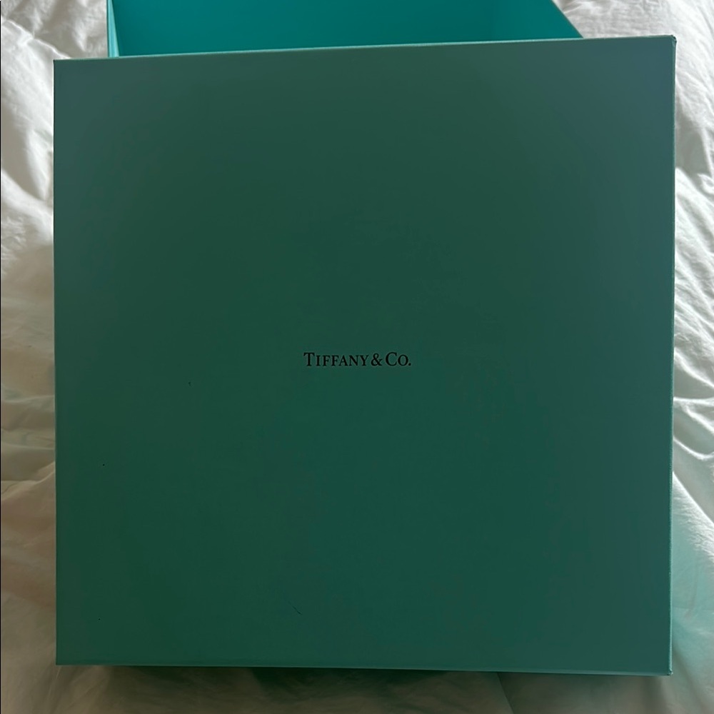 Tiffany & Co. Turquoise Gift Box